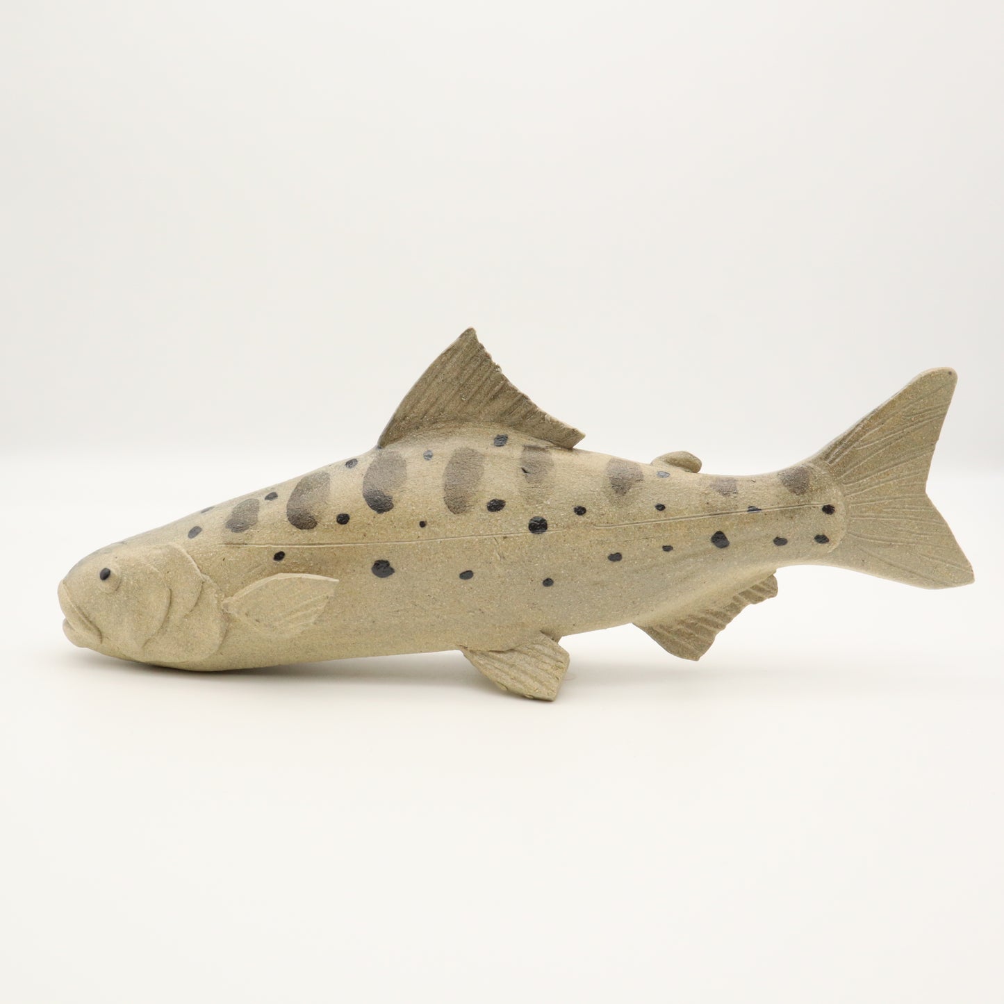 【大島晴男】ヤマメ