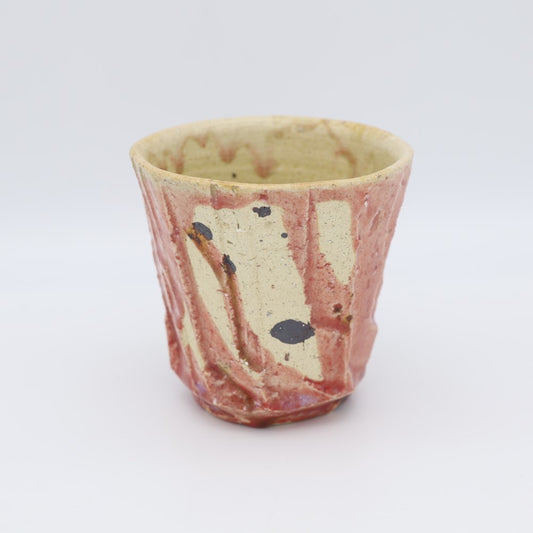 [Hodaka Ryuji] Shinogi Cup
