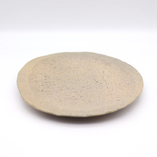 [Shinsuke Iwami] 7-inch earthen salt glaze plate