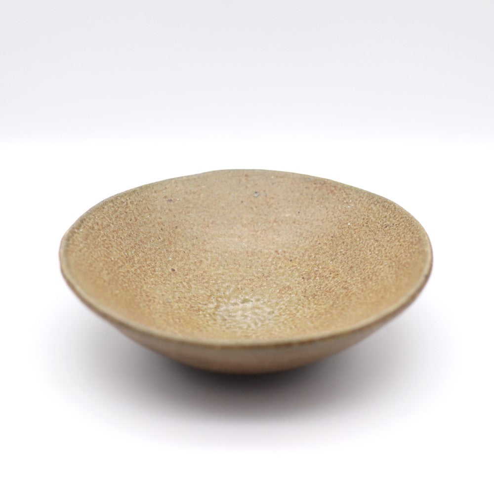 [Iwami Shinsuke] Salt-glazed pottery