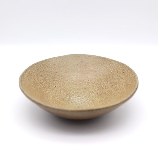 [Iwami Shinsuke] Salt-glazed pottery