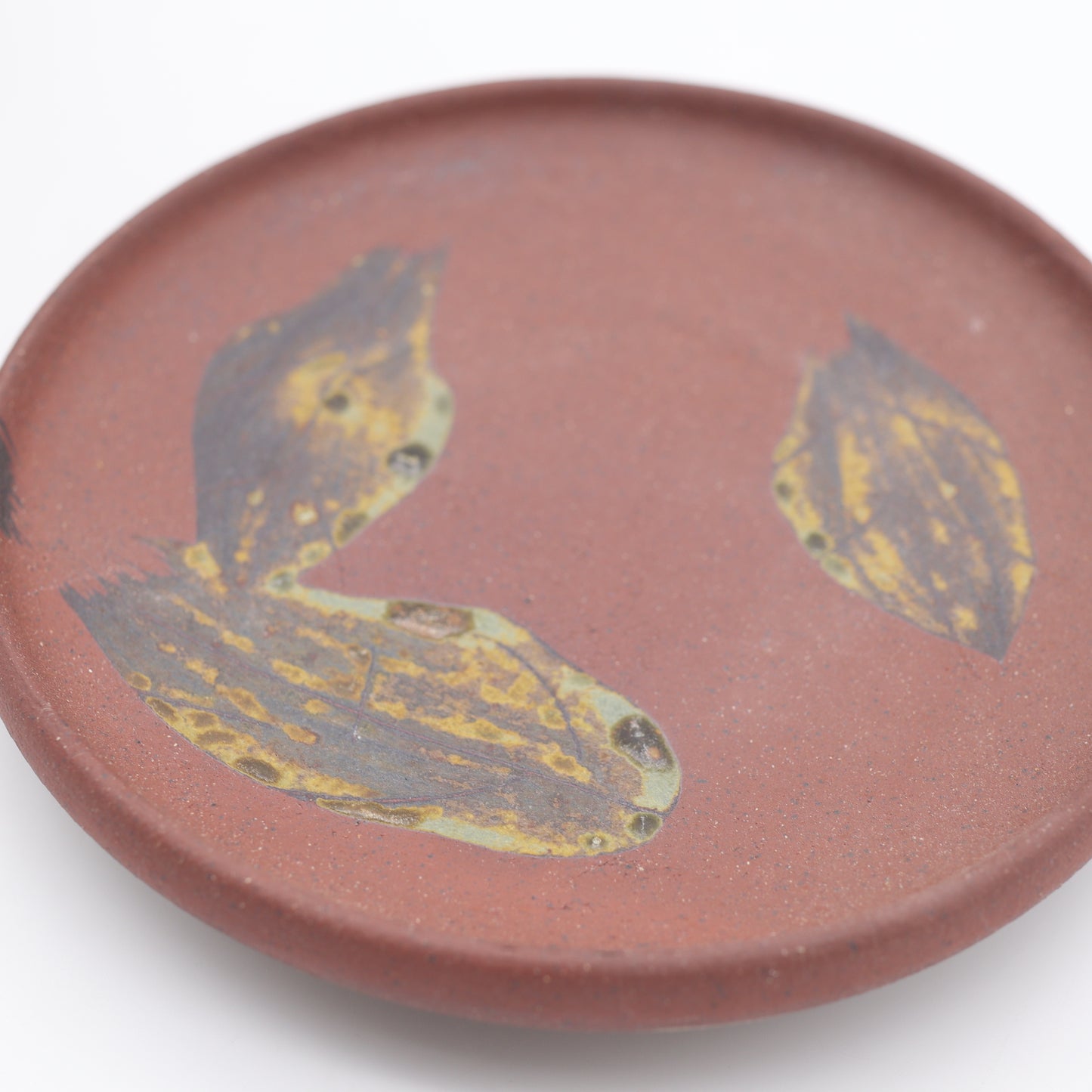 [Komine Takashi] Leaf design cup and saucer