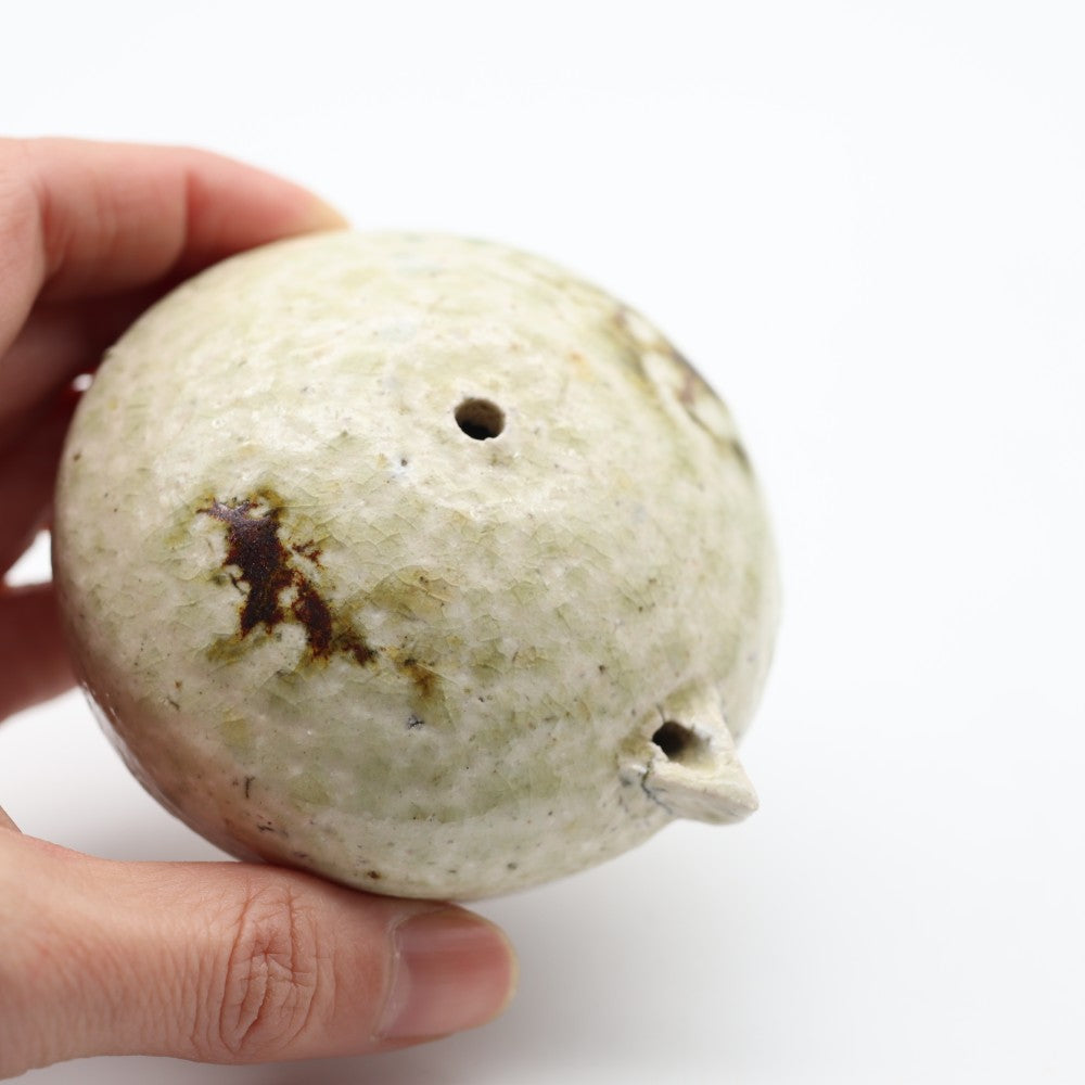 [Shinsuke Iwami] Water Droplets