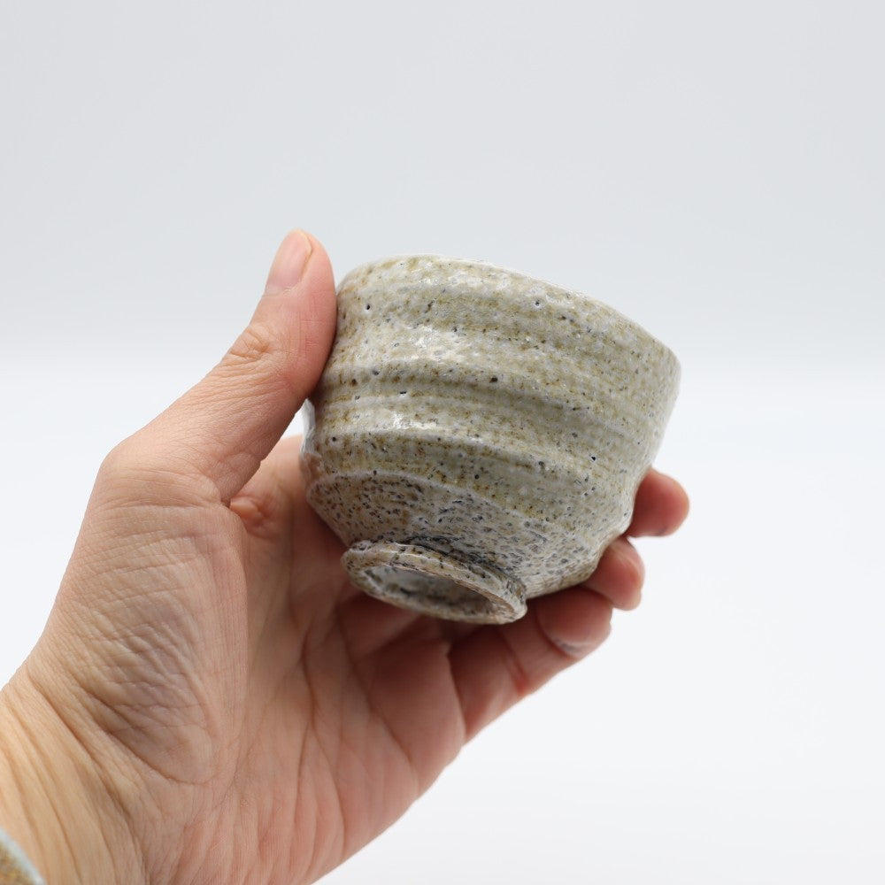 [Iwami Shinsuke] Salt-glazed sake cup