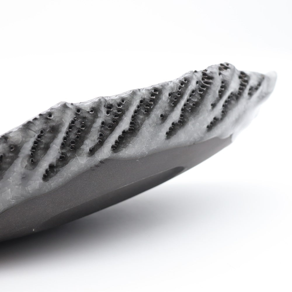 [Hodaka Ryuji] Thin ice boat-shaped plate