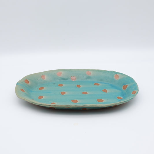 [Miyuki Hinata] Blue rimmed plate