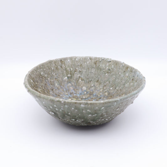 [Iwami Shinsuke] Walking pottery