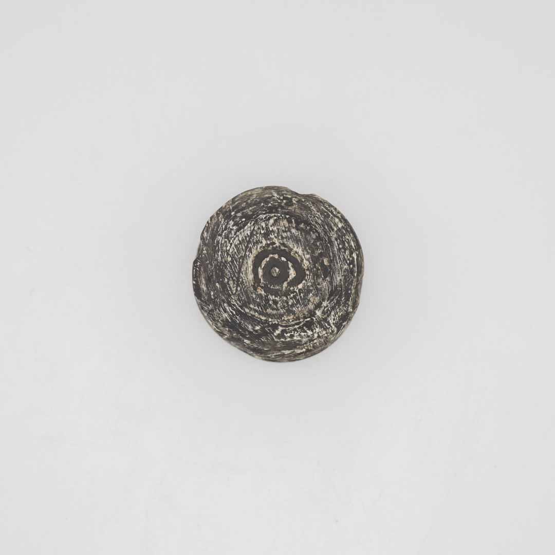 【沼野秀章】夜明け前ぐい呑