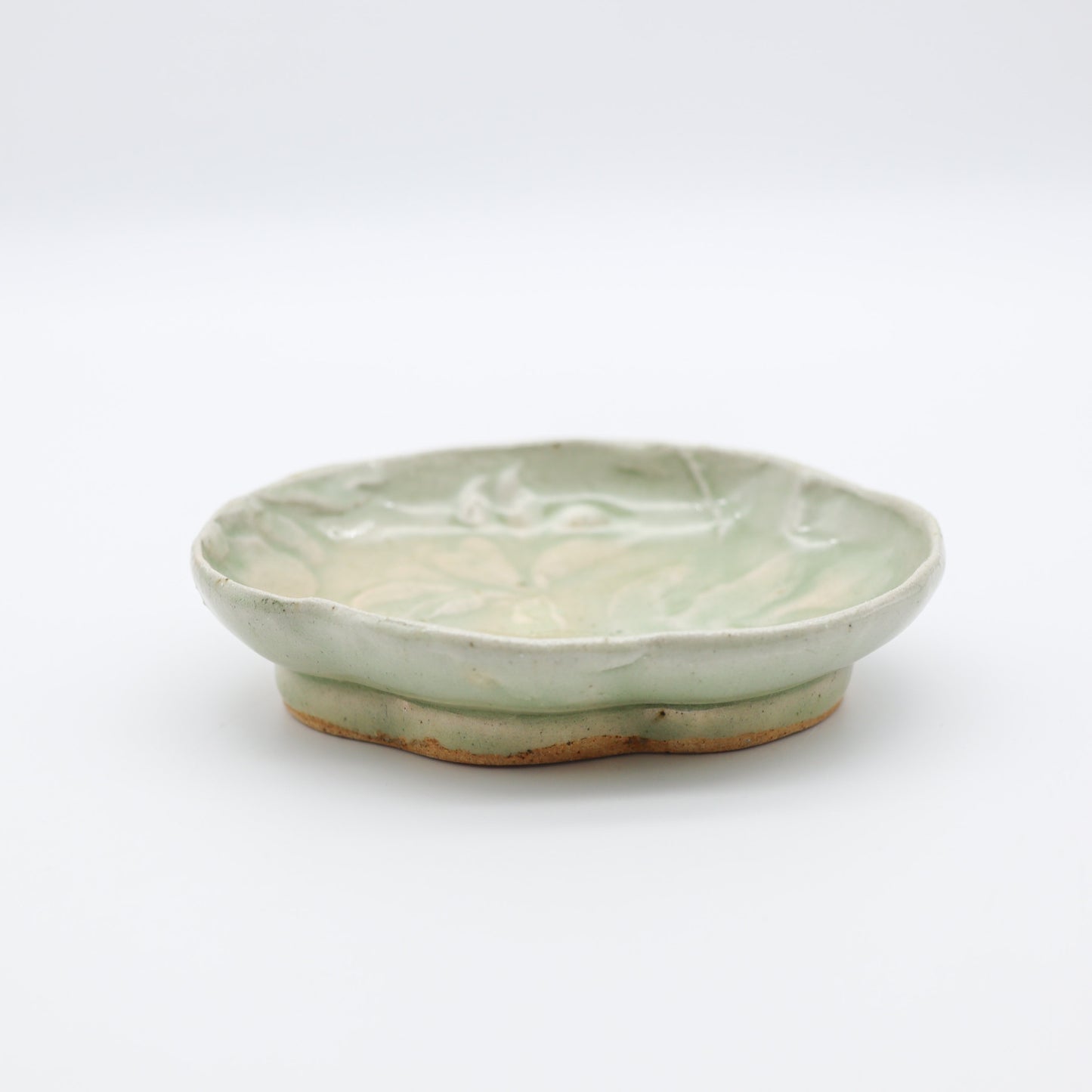[Aiba Takamasa] Celadon plate with magnolia design