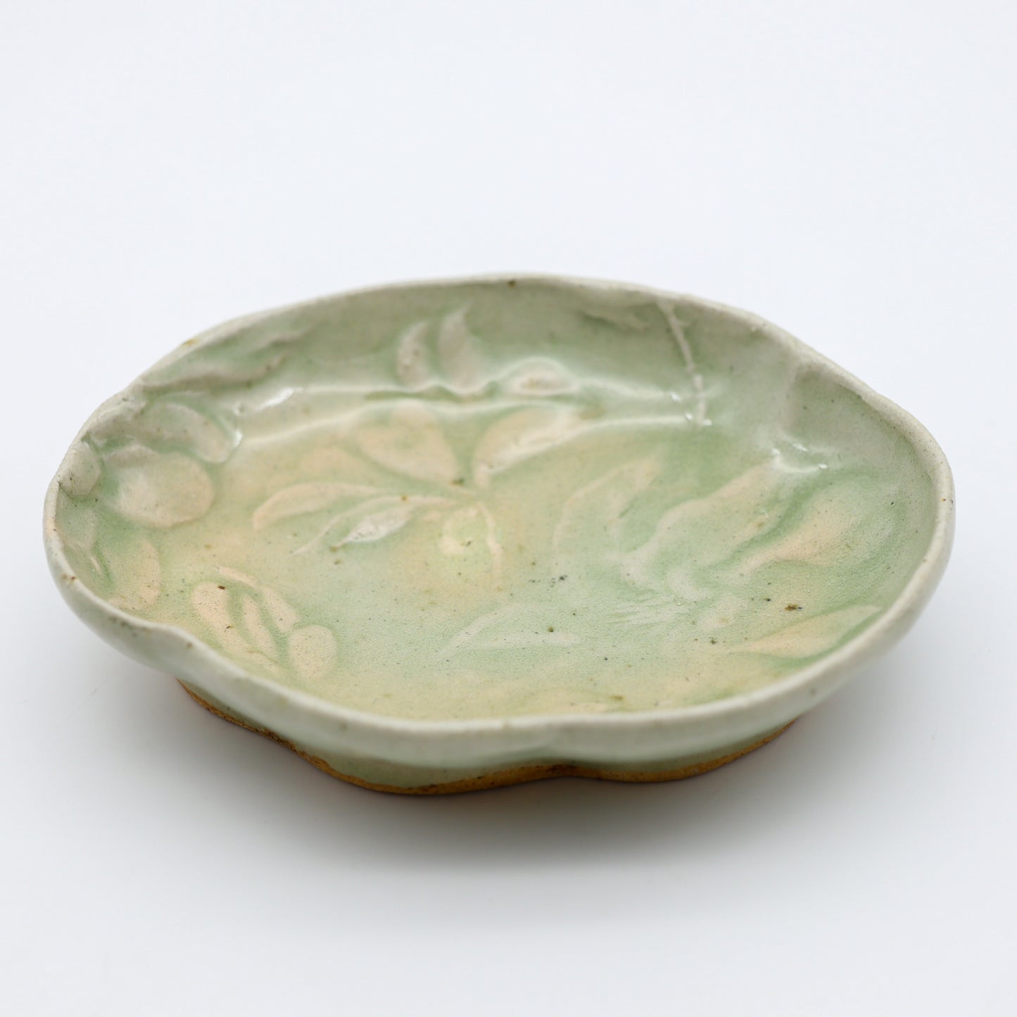 [Aiba Takamasa] Celadon plate with magnolia design