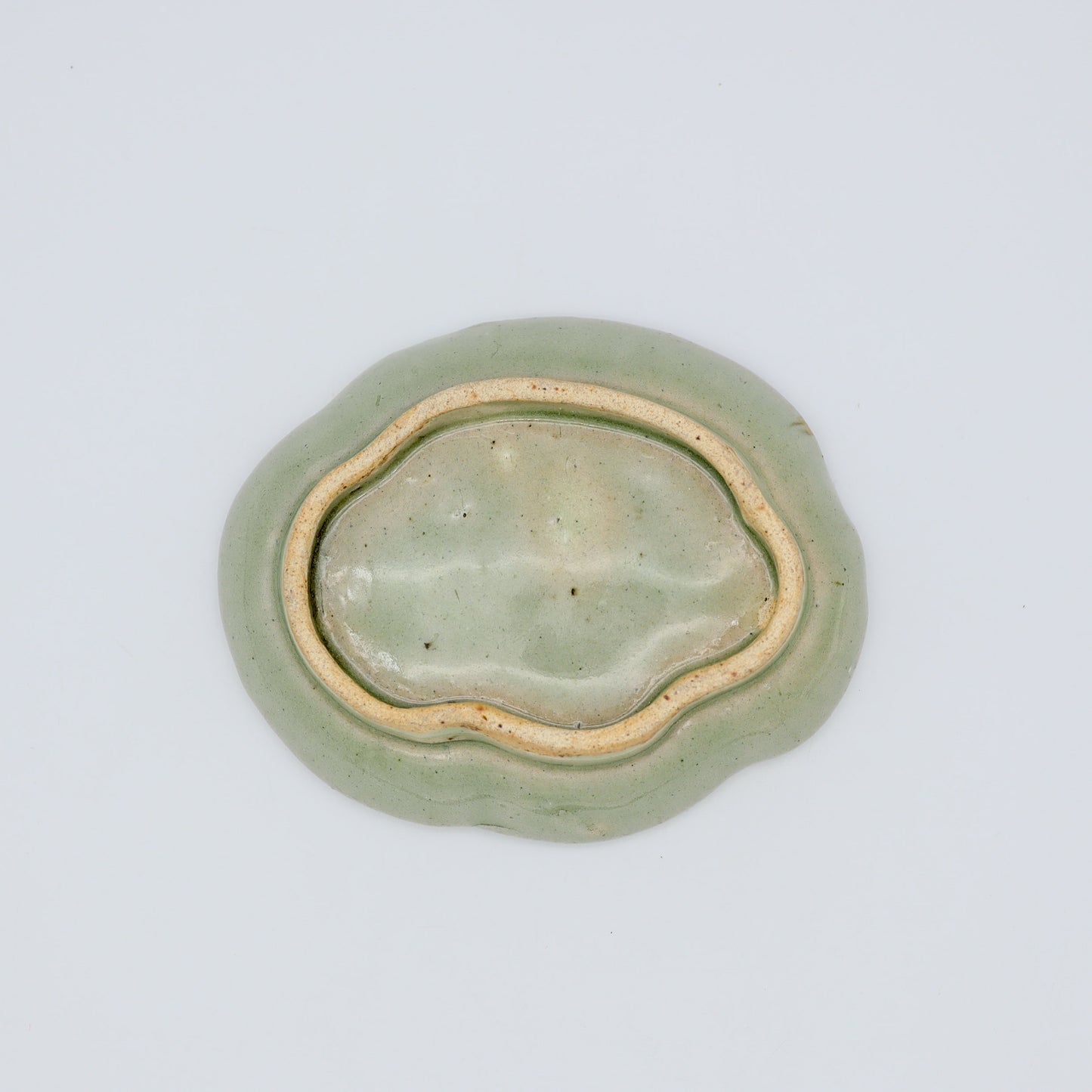 [Aiba Takamasa] Celadon plate with magnolia design