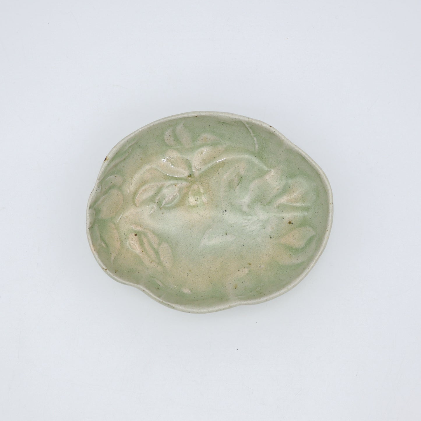 [Aiba Takamasa] Celadon plate with magnolia design