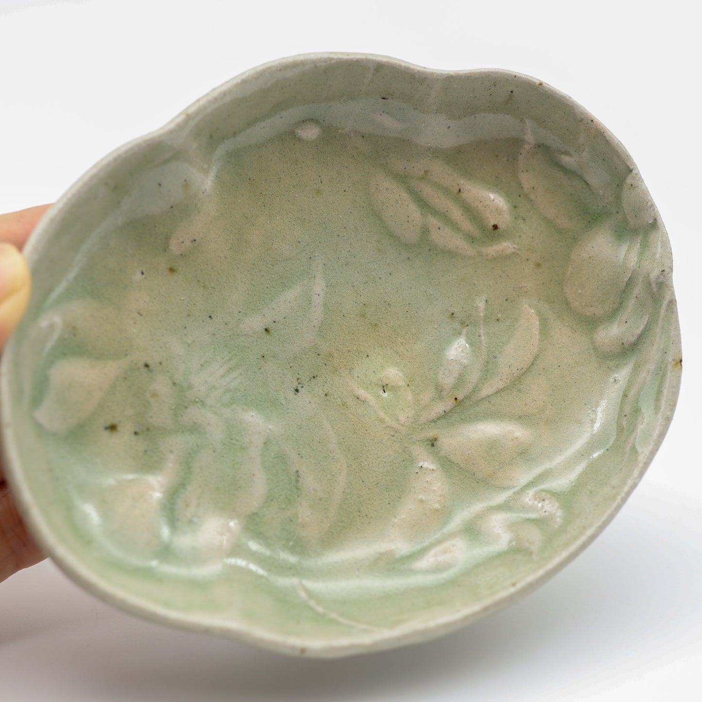 [Aiba Takamasa] Celadon plate with magnolia design