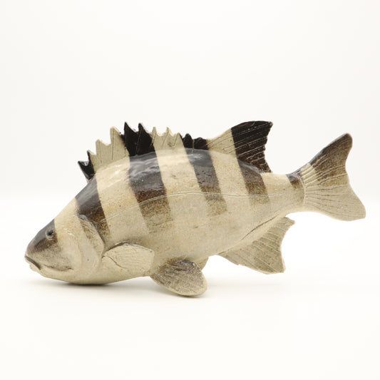 [Haruo Oshima] Stonefish